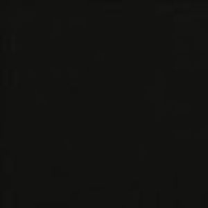 Meet your Posher, Daniel nunez